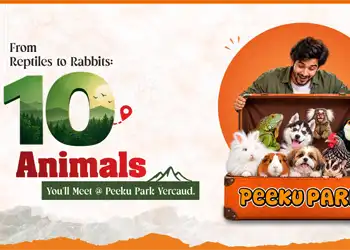 From Reptiles to Rabbits: 10 Animals You’ll Meet at Peeku Park Yercaud - Blog