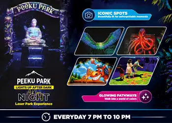 Peeku Park Yercaud Night Laser Park Experience - Blog