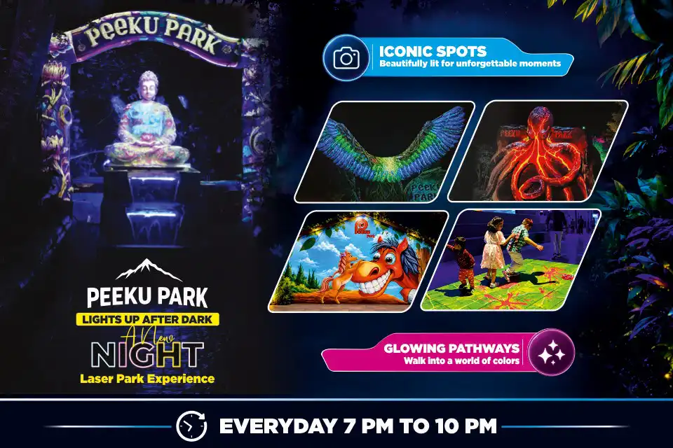 Peeku Park Yercaud Night Laser Park Experience