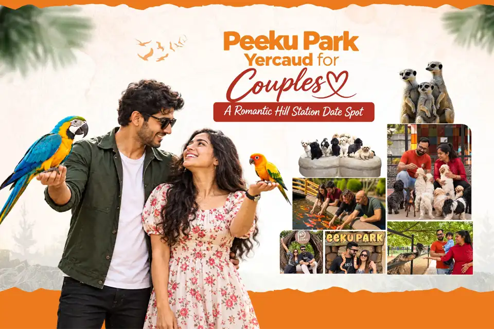 Peeku Park Yercaud for Couples: A Romantic Hill Station Date Spot