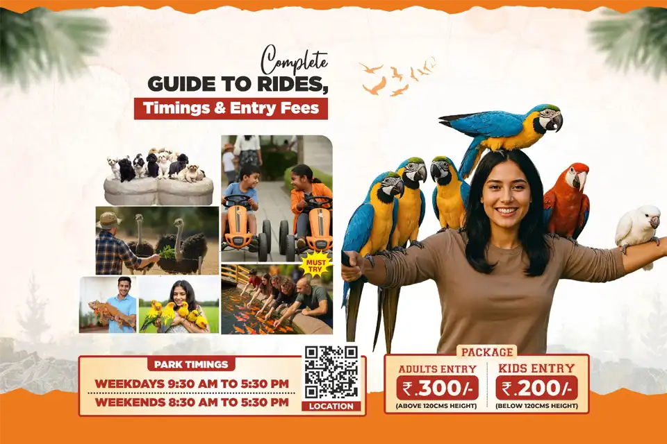 Peeku Park Yercaud: Rides, Timings & Entry Fees