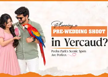 Planning a Pre-Wedding Shoot in Yercaud? Peeku Park’s Scenic Spots Are Perfect - Blog