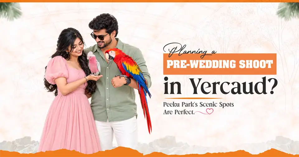 Couple enjoying a scenic pre-wedding photoshoot in Yercaud